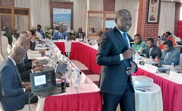 Les INDH d'Afrique Centrale en conclave &agrave; Douala