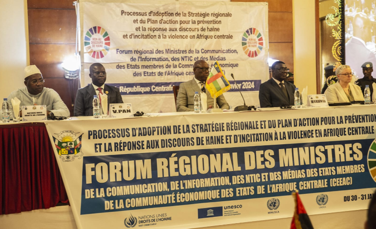 L'Afrique Centrale prend position sur les discours de haine et d'incitation &agrave; la violence