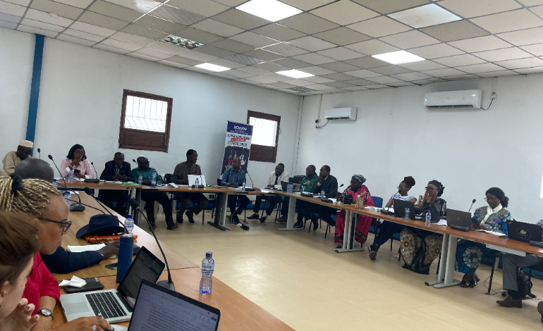 Plaidoyer pour la mise en place d'un m&eacute;canisme national de pr&eacute;vention de la torture