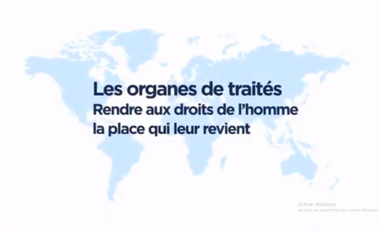 Comprendre l&rsquo;importance des organes de trait&eacute;s