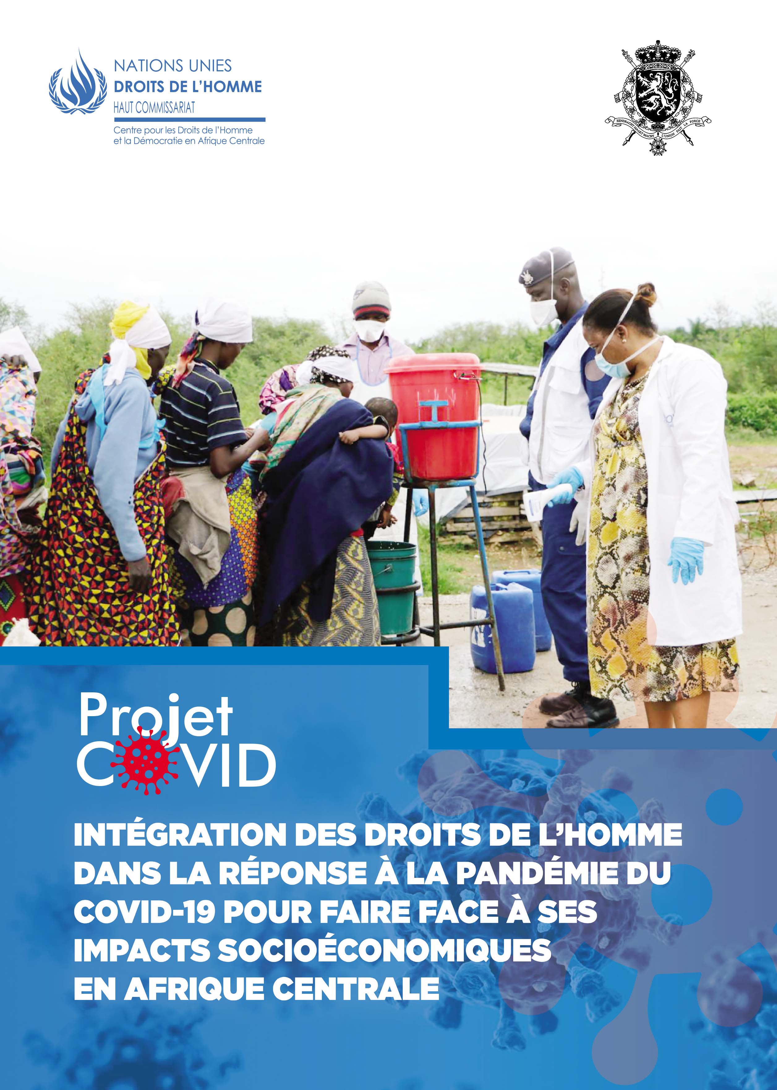 Plaquette de pr&eacute;sentation du projet COVID-19